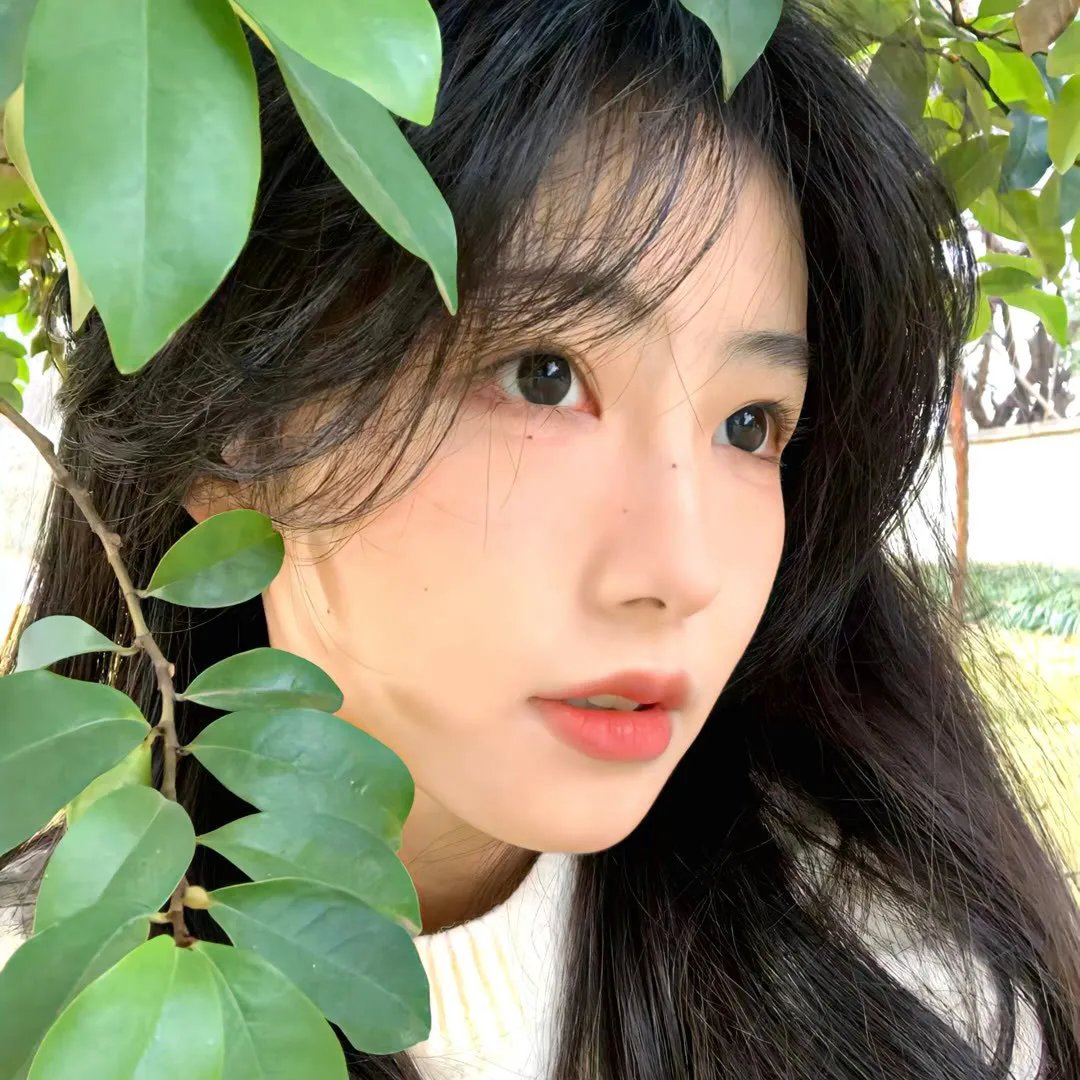 我们的乐坛